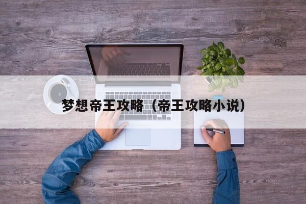 梦想帝王攻略（帝王攻略小说）