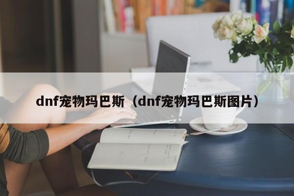 dnf宠物玛巴斯（dnf宠物玛巴斯图片）