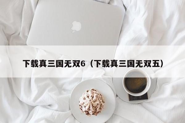 下载真三国无双6（下载真三国无双五）