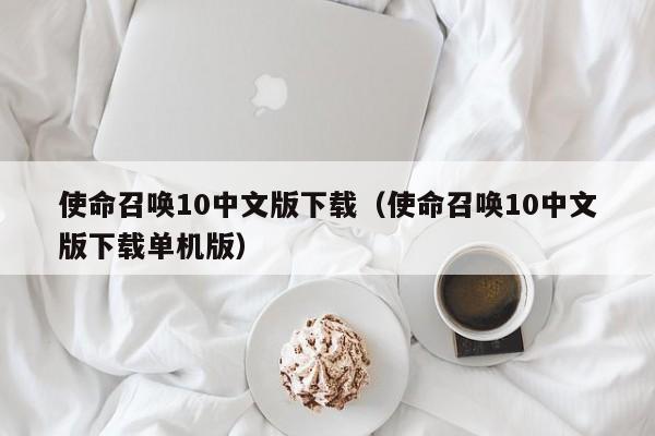 使命召唤10中文版下载（使命召唤10中文版下载单机版）