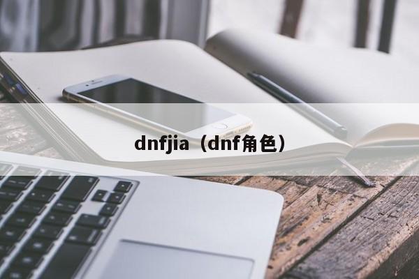 dnfjia（dnf角色）