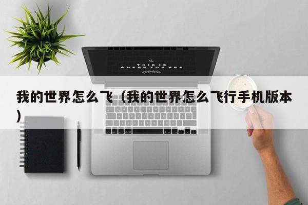 我的世界怎么飞（我的世界怎么飞行手机版本）