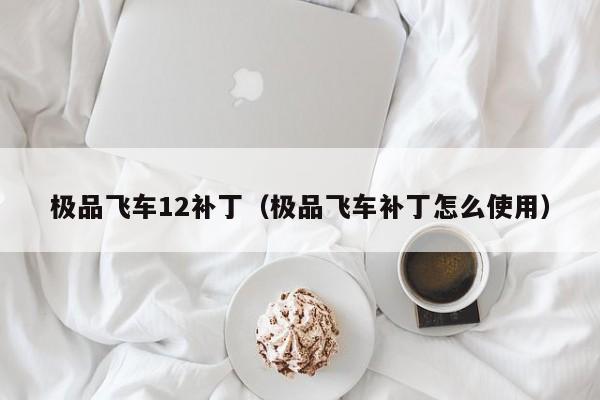 极品飞车12补丁（极品飞车补丁怎么使用）