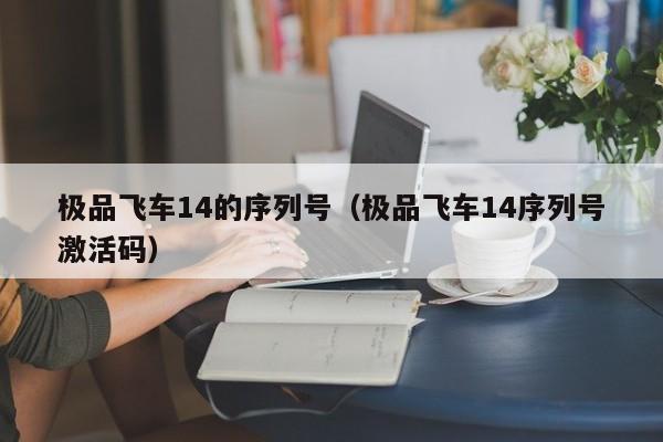 极品飞车14的序列号（极品飞车14序列号激活码）
