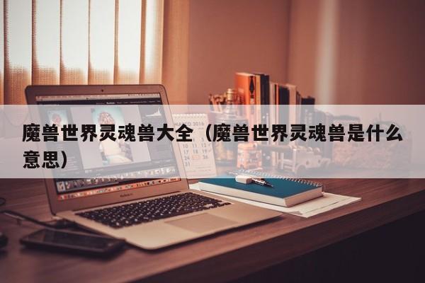 魔兽世界灵魂兽大全（魔兽世界灵魂兽是什么意思）