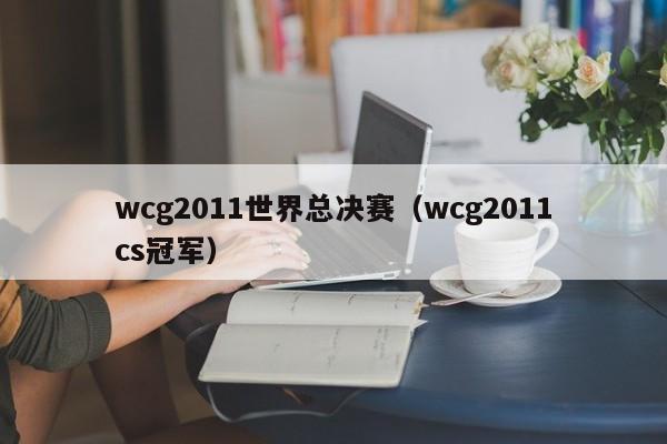 wcg2011世界总决赛（wcg2011cs冠军）