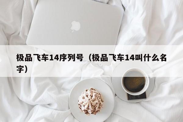 极品飞车14序列号（极品飞车14叫什么名字）