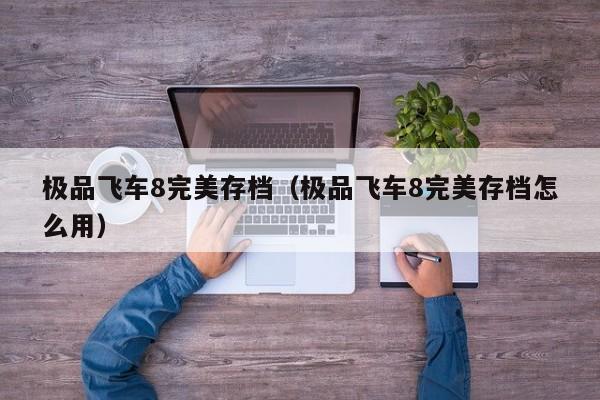 极品飞车8完美存档（极品飞车8完美存档怎么用）