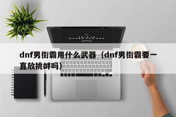 dnf男街霸用什么武器（dnf男街霸要一直放挑衅吗）