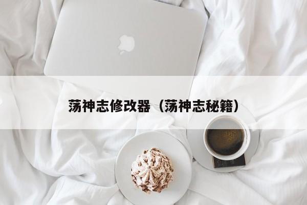 荡神志修改器（荡神志秘籍）