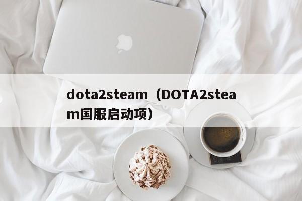 dota2steam（DOTA2steam国服启动项）