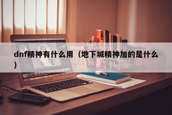 dnf精神有什么用（地下城精神加的是什么）