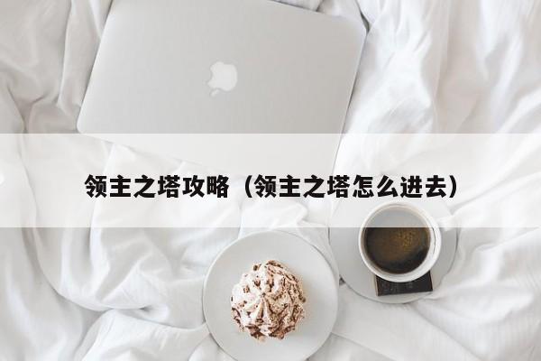 领主之塔攻略（领主之塔怎么进去）