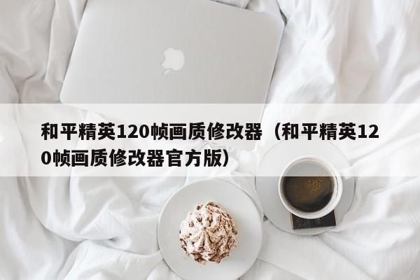 和平精英120帧画质修改器（和平精英120帧画质修改器官方版）
