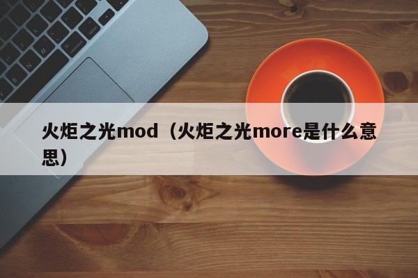 火炬之光mod（火炬之光more是什么意思）