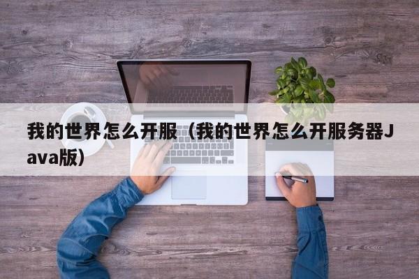 我的世界怎么开服（我的世界怎么开服务器Java版）