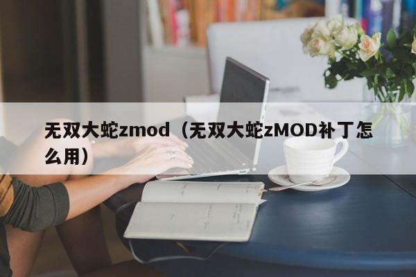 无双大蛇zmod（无双大蛇zMOD补丁怎么用）