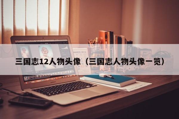 三国志12人物头像（三国志人物头像一览）