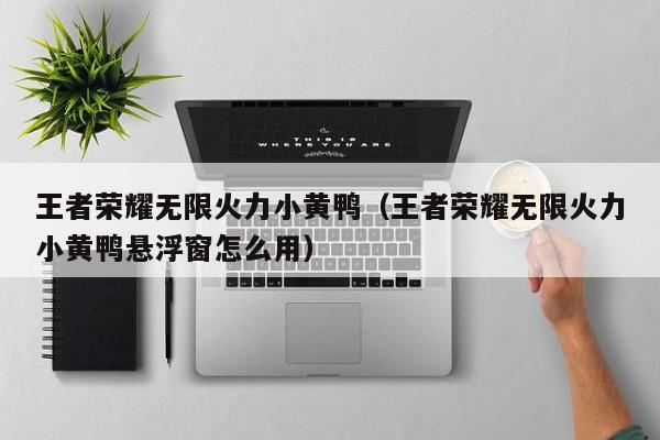 王者荣耀无限火力小黄鸭（王者荣耀无限火力小黄鸭悬浮窗怎么用）