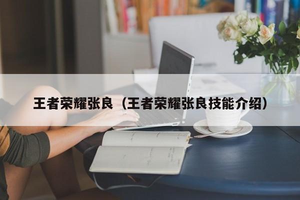 王者荣耀张良（王者荣耀张良技能介绍）