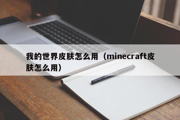 我的世界皮肤怎么用（minecraft皮肤怎么用）