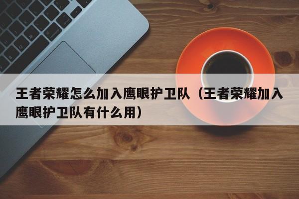 王者荣耀怎么加入鹰眼护卫队（王者荣耀加入鹰眼护卫队有什么用）