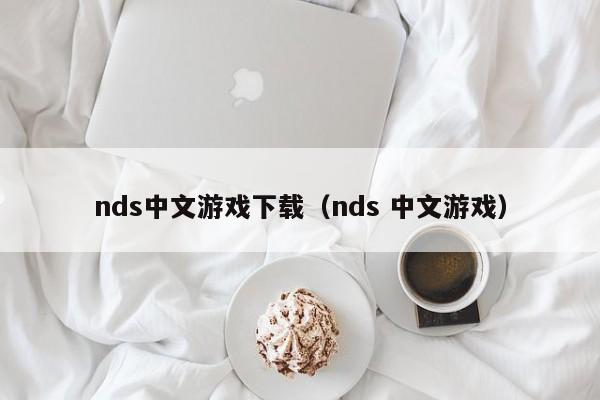 nds中文游戏下载（nds 中文游戏）