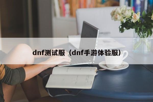 dnf测试服（dnf手游体验服）