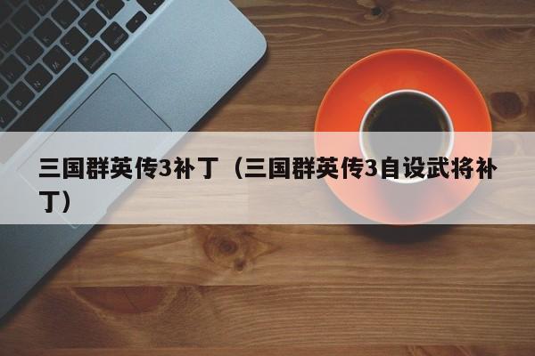 三国群英传3补丁（三国群英传3自设武将补丁）