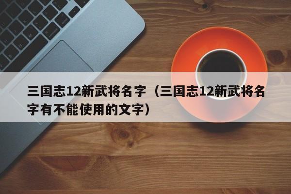 三国志12新武将名字（三国志12新武将名字有不能使用的文字）