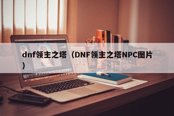 dnf领主之塔（DNF领主之塔NPC图片）