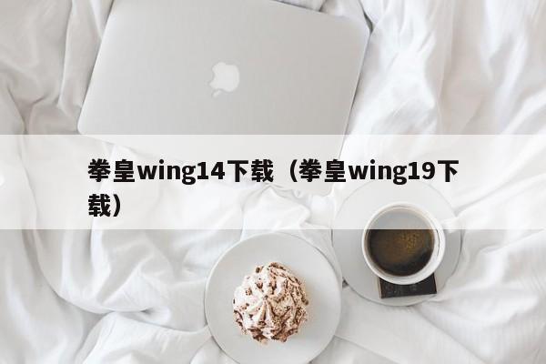 拳皇wing14下载（拳皇wing19下载）