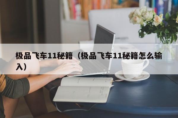 极品飞车11秘籍（极品飞车11秘籍怎么输入）