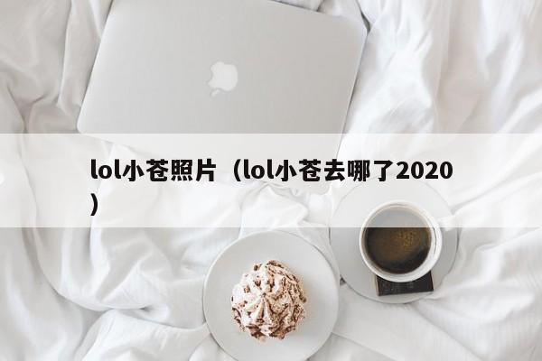 lol小苍照片（lol小苍去哪了2020）