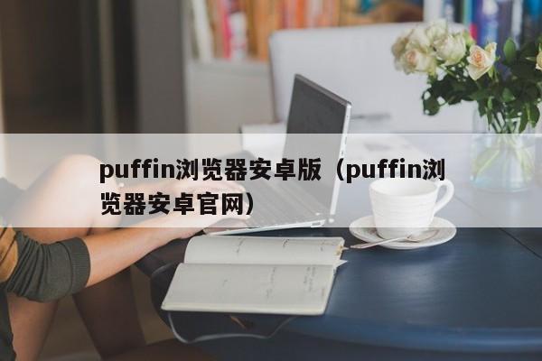 puffin浏览器安卓版（puffin浏览器安卓官网）