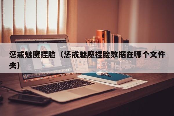 惩戒魅魔捏脸（惩戒魅魔捏脸数据在哪个文件夹）