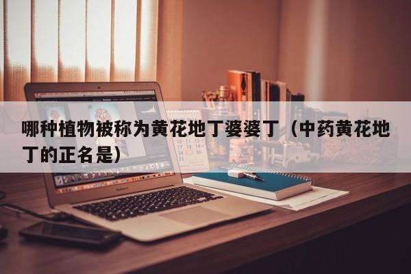 哪种植物被称为黄花地丁婆婆丁（中药黄花地丁的正名是）