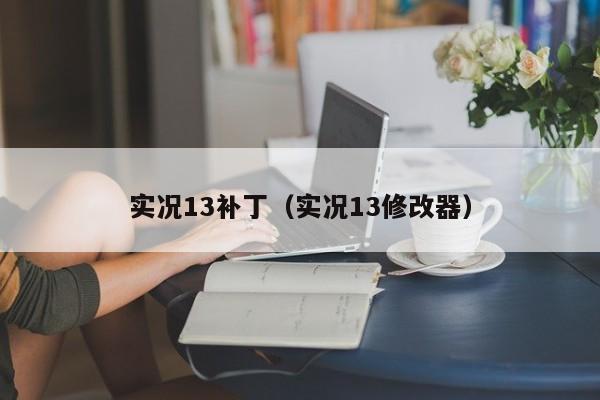 实况13补丁（实况13修改器）