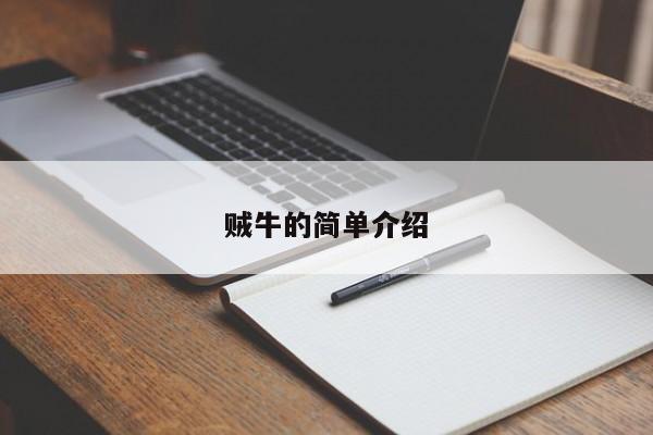 贼牛的简单介绍
