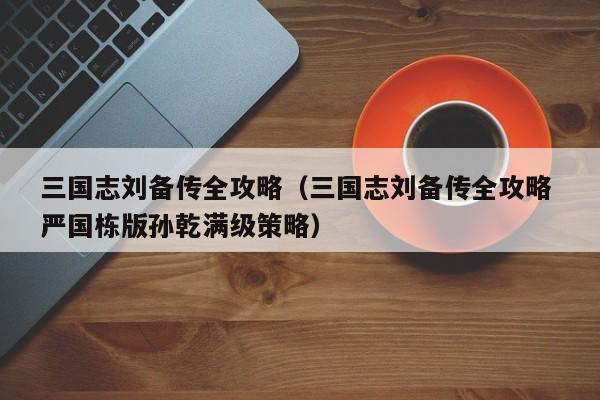 三国志刘备传全攻略（三国志刘备传全攻略 严国栋版孙乾满级策略）