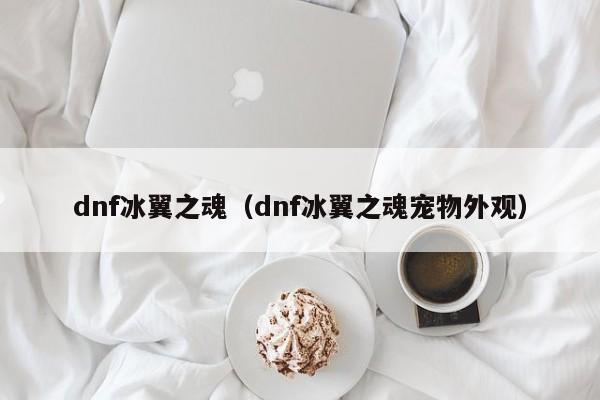 dnf冰翼之魂（dnf冰翼之魂宠物外观）