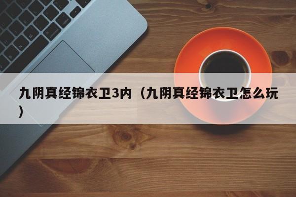 九阴真经锦衣卫3内（九阴真经锦衣卫怎么玩）