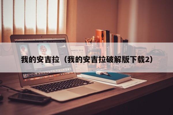我的安吉拉（我的安吉拉破解版下载2）