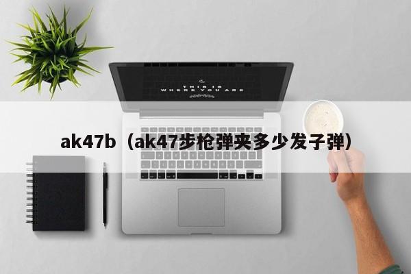 ak47b（ak47步枪弹夹多少发子弹）